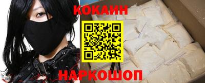 шишки Гай
