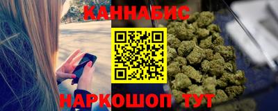 шишки Гай