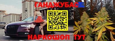 крисы Гатчина