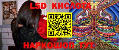 крисы Гатчина