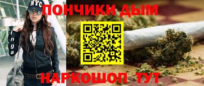 шишки Гай