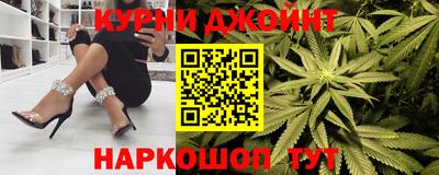 крисы Гатчина