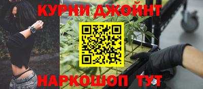шишки Гай