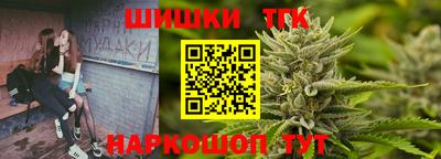 крисы Гатчина