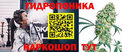 крисы Гатчина