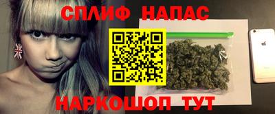крисы Гатчина