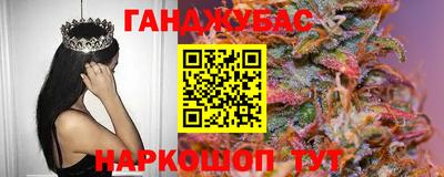 шишки Гай
